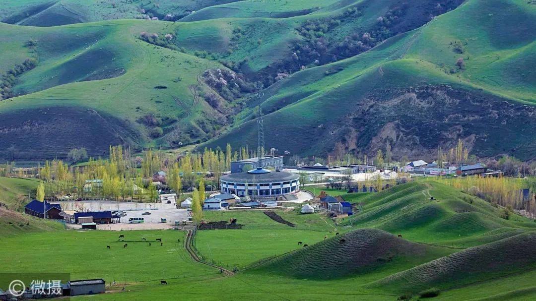 新疆伊犁大西沟静观花开花落漫赏云卷云舒