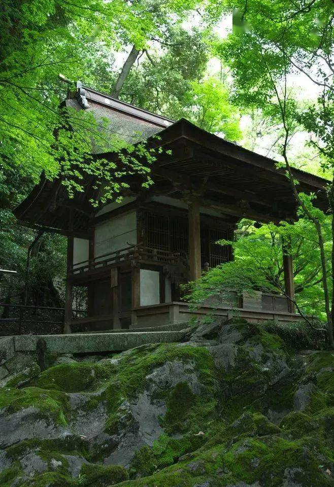 古琴曲竹山听雨山空雨夜竹林禅心