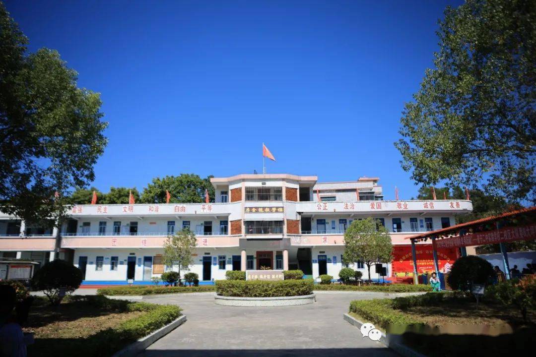 教育讲卫生共抗疫携手共建美好校园新竹小学爱国卫生运动月活动