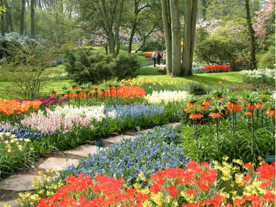 单面观赏花境双面观赏花境对应式花境