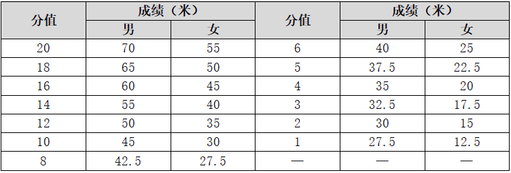 表1-1 摸高评分表