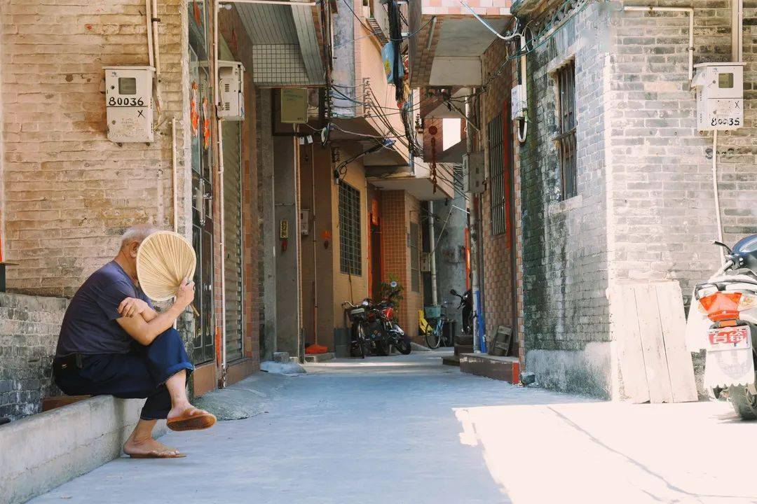 再见南沙大井村期待早日再会