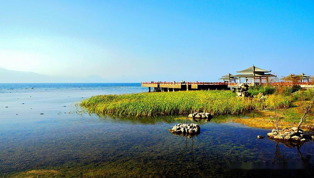 澄江仙湖湾湿地公园图片