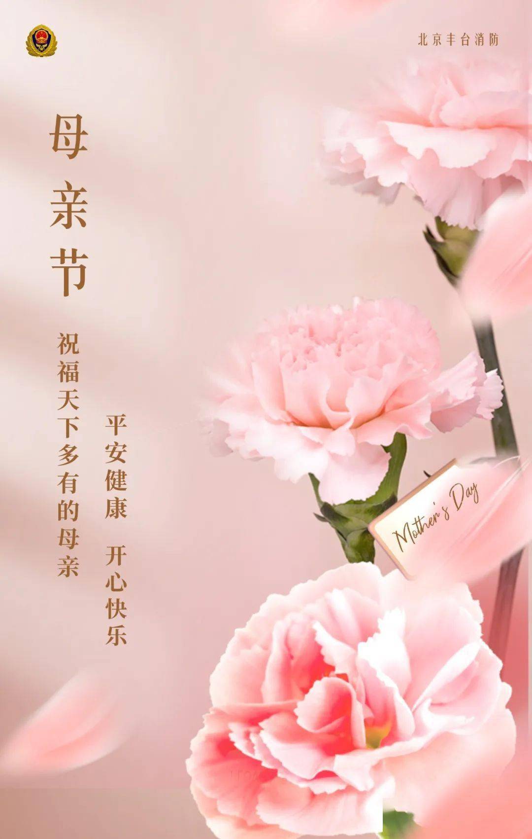 感恩母亲节祝福天下所有的母亲安康快乐