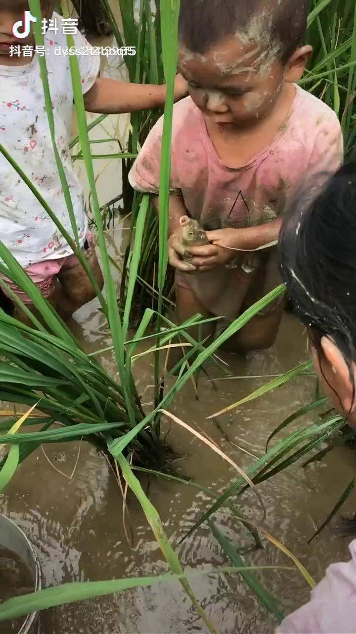 记录美好童年 懂事的孩子 下水捉鱼_孩子_下水