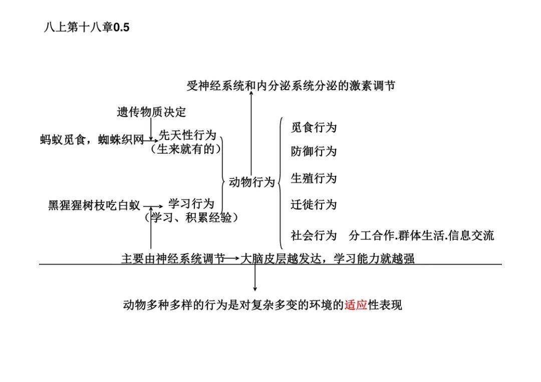 初中生物複習知識點中考複習專用思維導圖