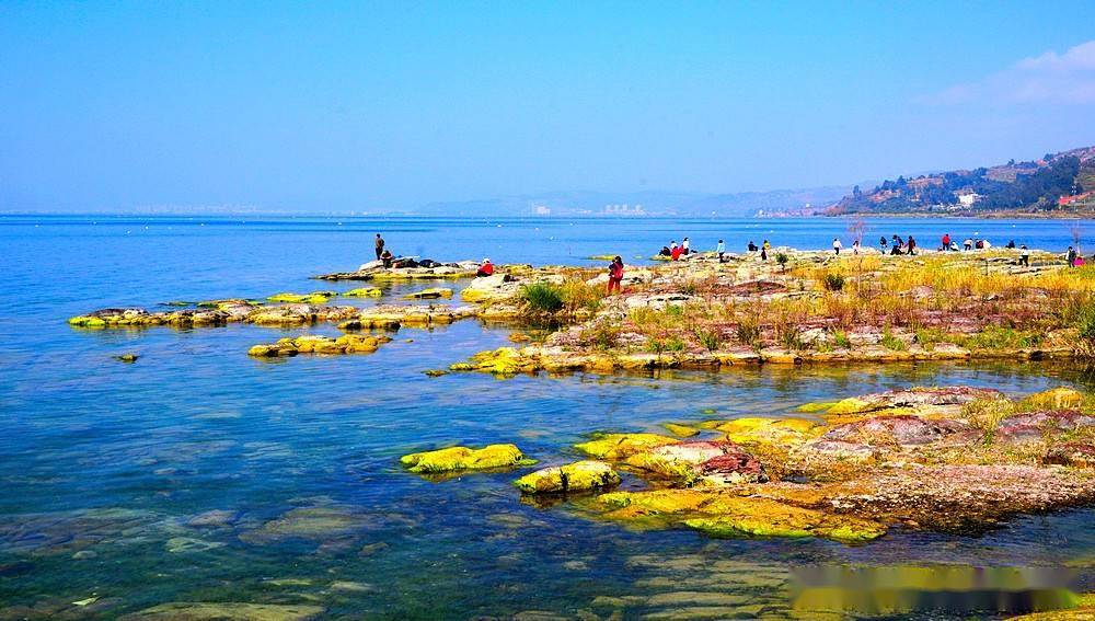 澄江仙湖湾湿地公园图片