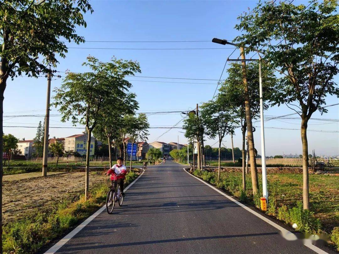 5月6日,雲夢縣城關鎮白合,肖李,西王等村的鄉村道路一步一景.