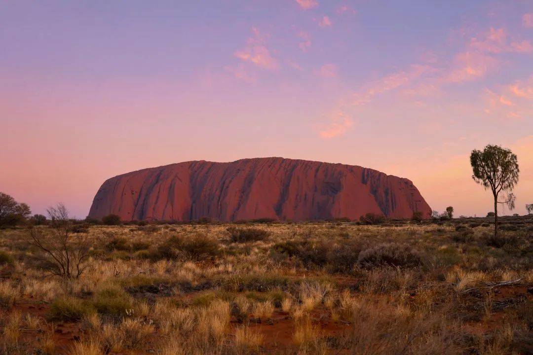 uluru astro tours, central australia, nt北领地,曾被美国《国家