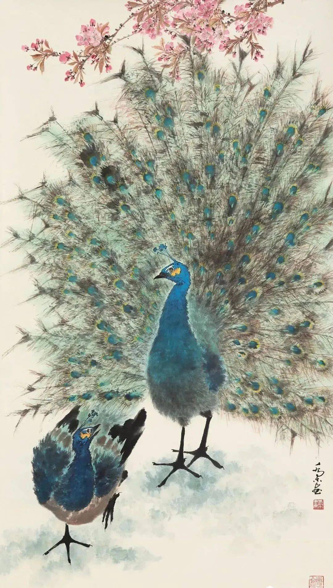 五大名家画孔雀美极了