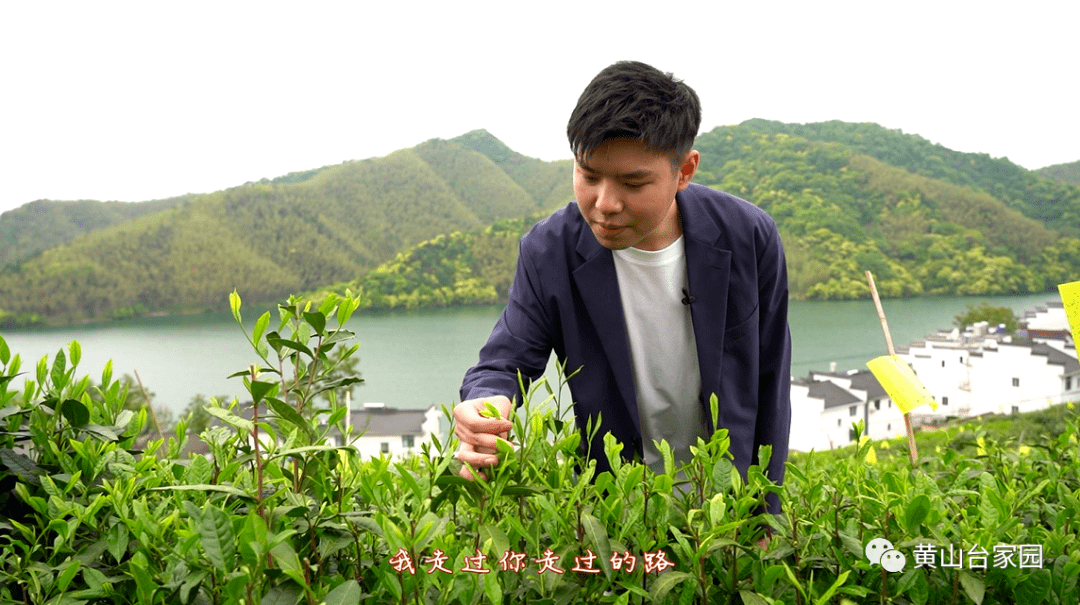 黄山区龙门乡轮渡村:美轮美奂 摆
