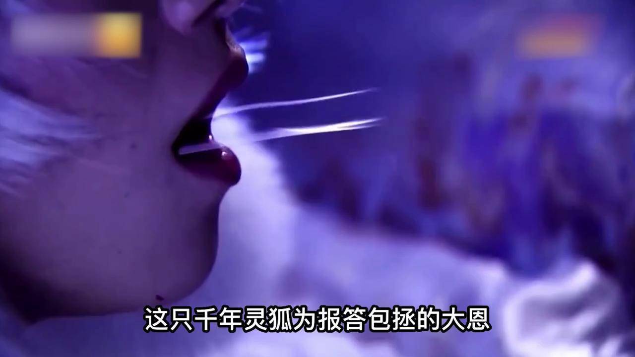包拯遭妖道暗算从此一病不起狐狸舍弃千年修为只为救他一命