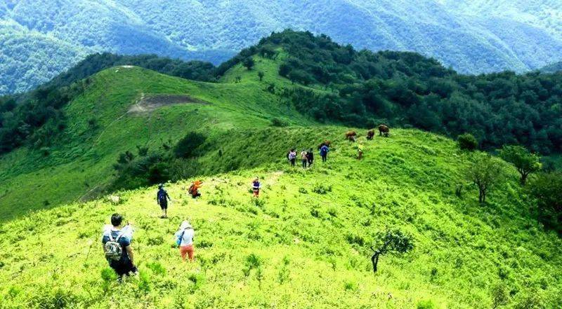 华阳草甸地处处于秦岭腹地,自然环境优美,有金岩沟,赛华山,瓮峪古道等