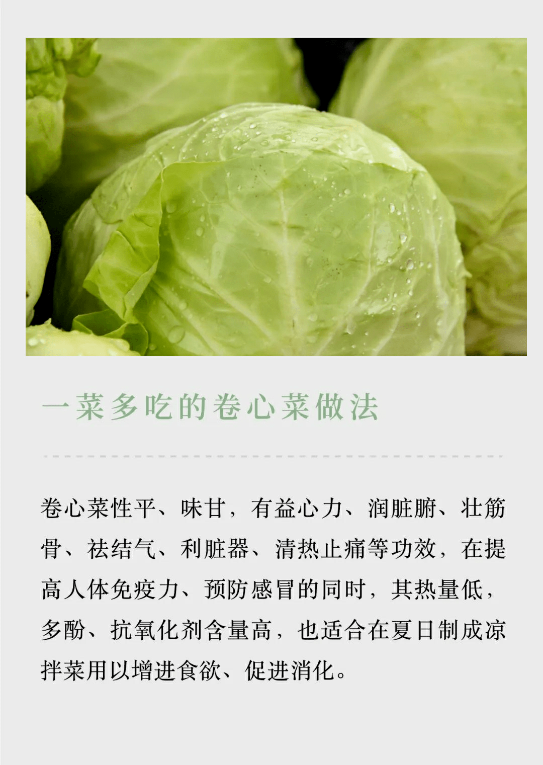 包心菜菜谱图片