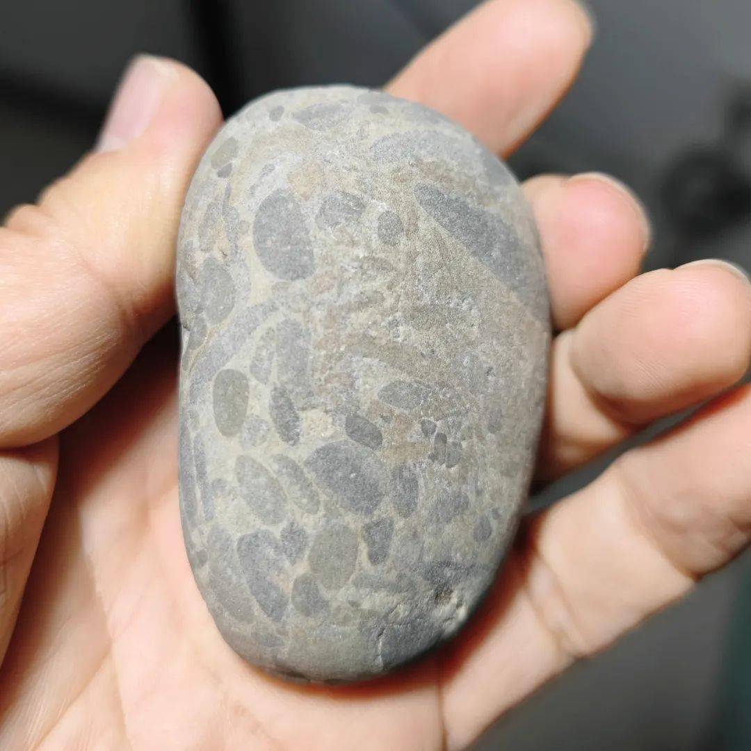 泥岩砂岩砾岩石灰岩煤