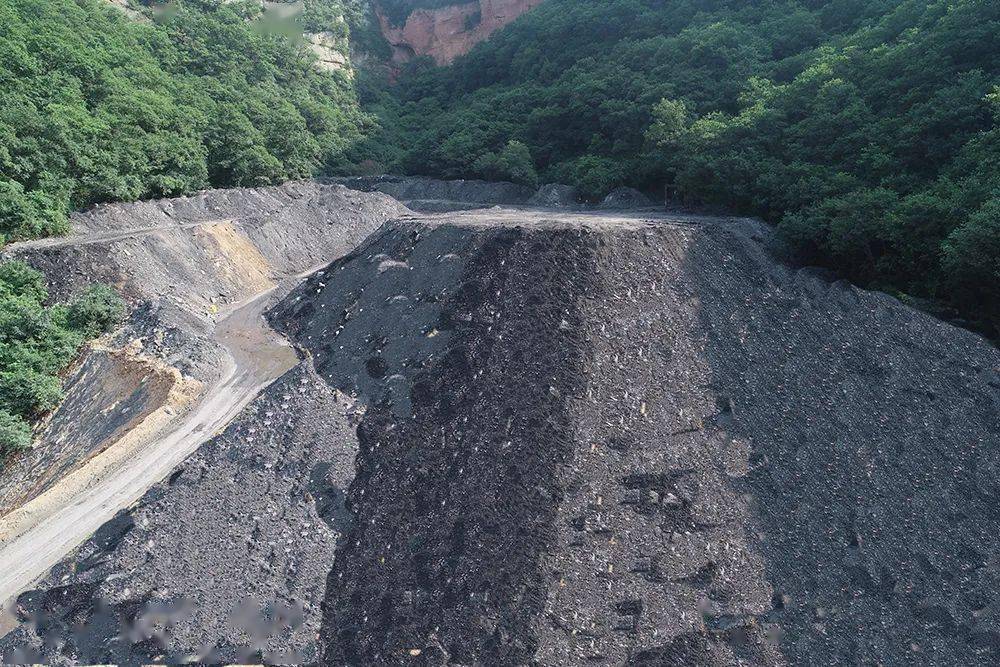 生态修复67黑山披新绿双龙煤业矸石山引来候鸟筑巢