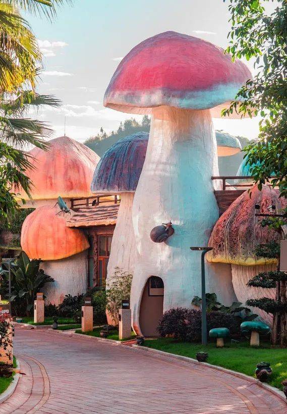 梦想,能够照进现实吗?在兴义的贵州醇景区,蘑菇野奢酒店做到了.