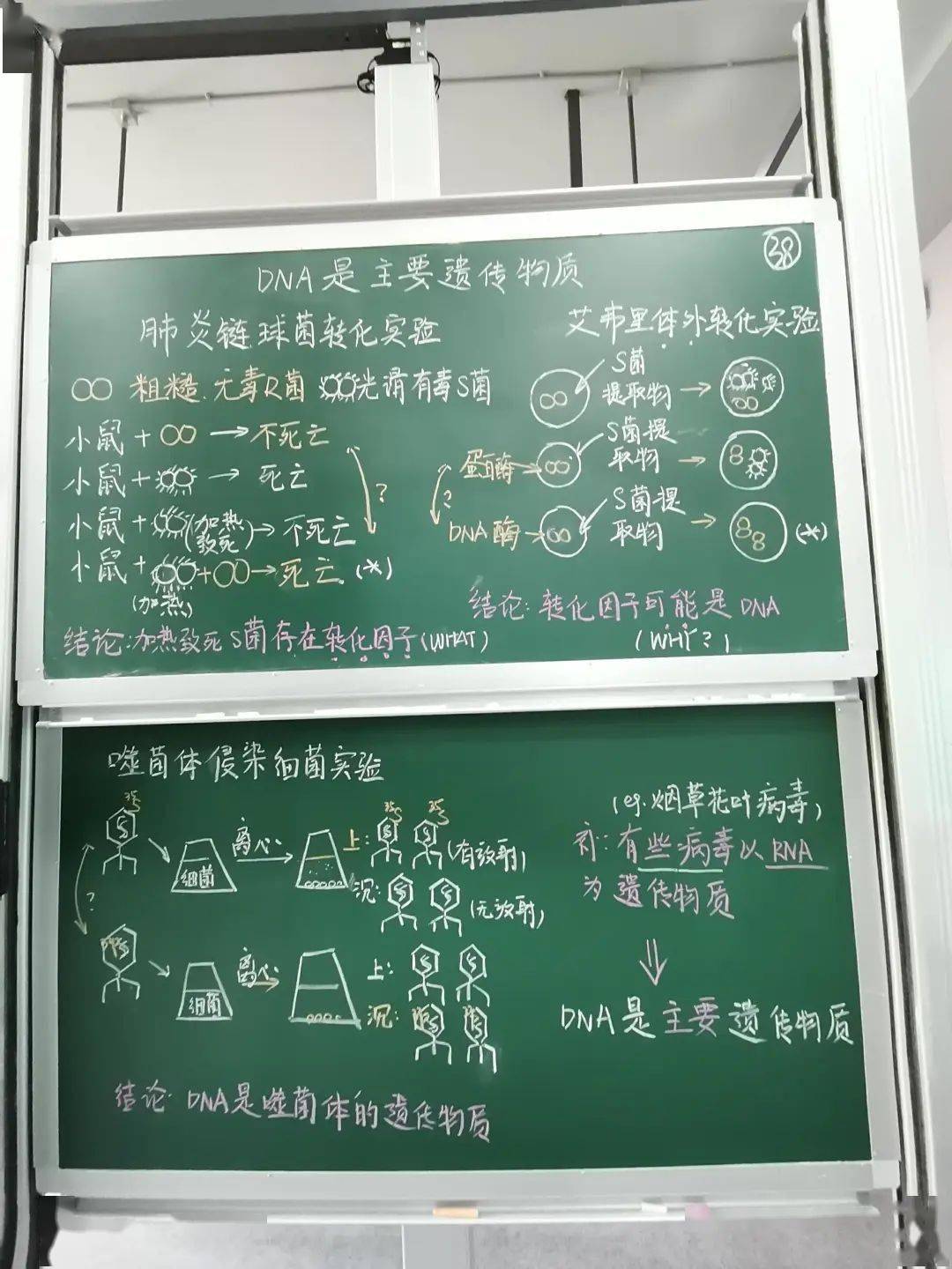 师范声2022年桃李杯钢笔字粉笔字大赛优秀作品分享