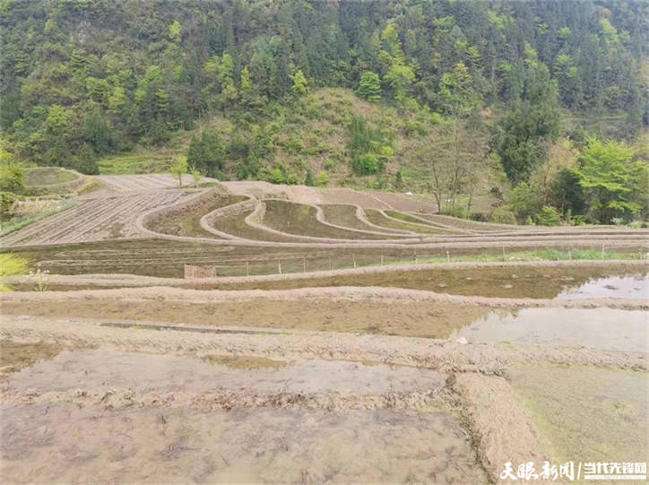 高质量发展蹲点采访正安县中观镇旱改水补齐农田稀缺短板