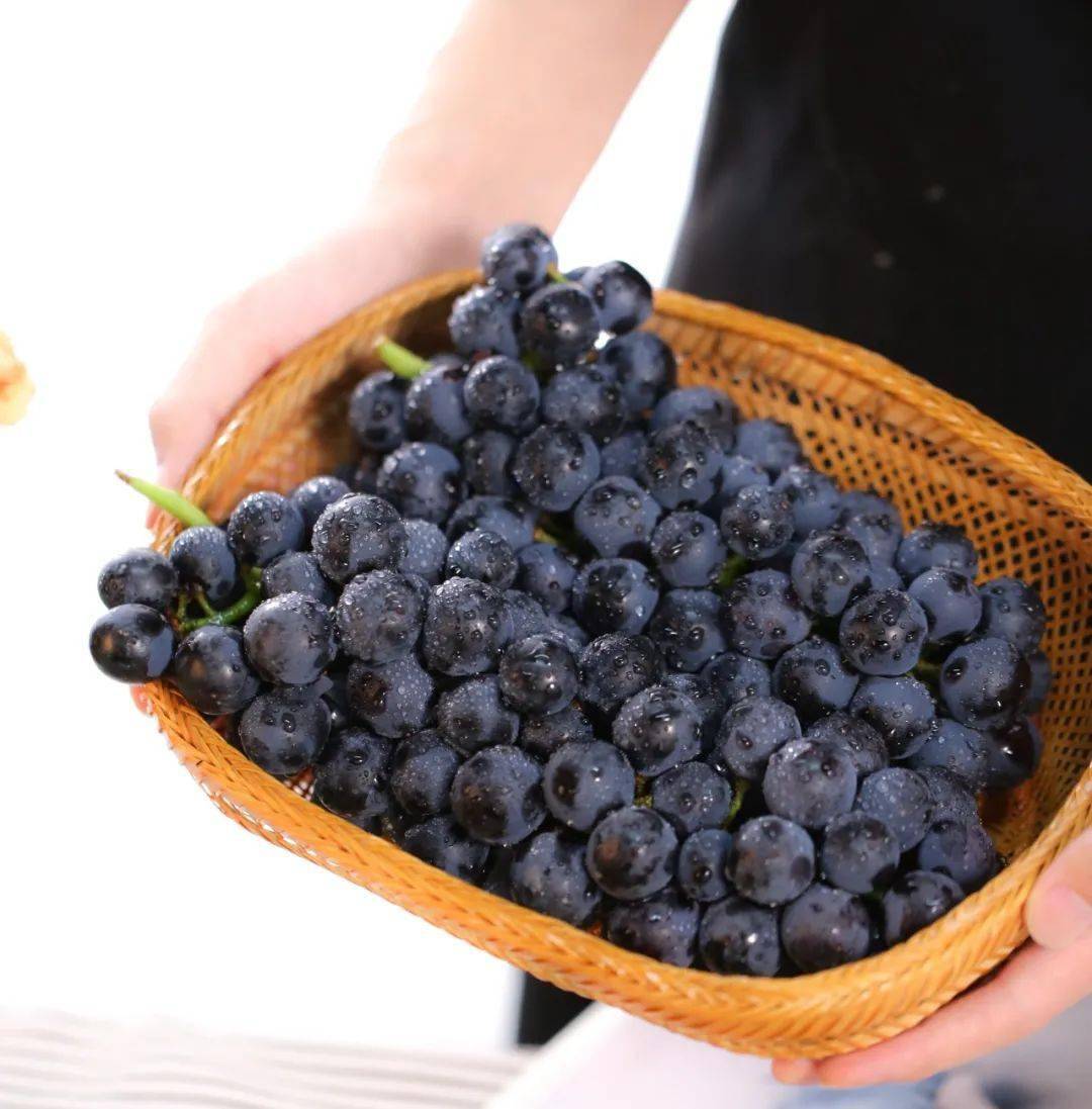 脆甜爆汁的云南夏黑葡萄无籽黑珍珠一口一个当果冻吸