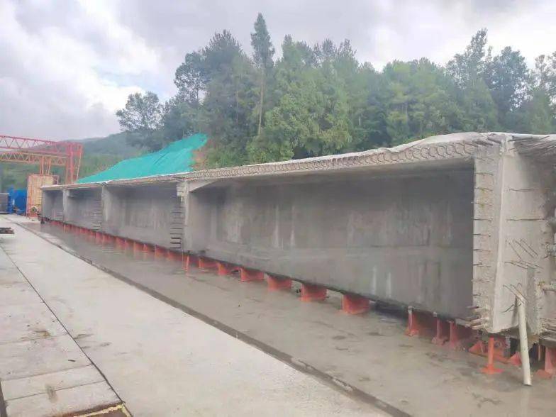 喷头藏在台座下面,可自动伸缩,旋转,360°养护无死角,手机就能操作