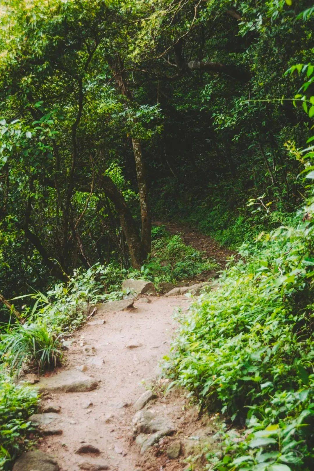 有道路筆直的綠道,高低起伏的石階登山道,還有土路的原生態步道