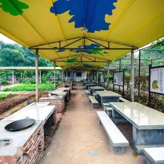 原始的灶台地锅,现摘的新鲜果蔬,一起动手烹饪美味佳肴.