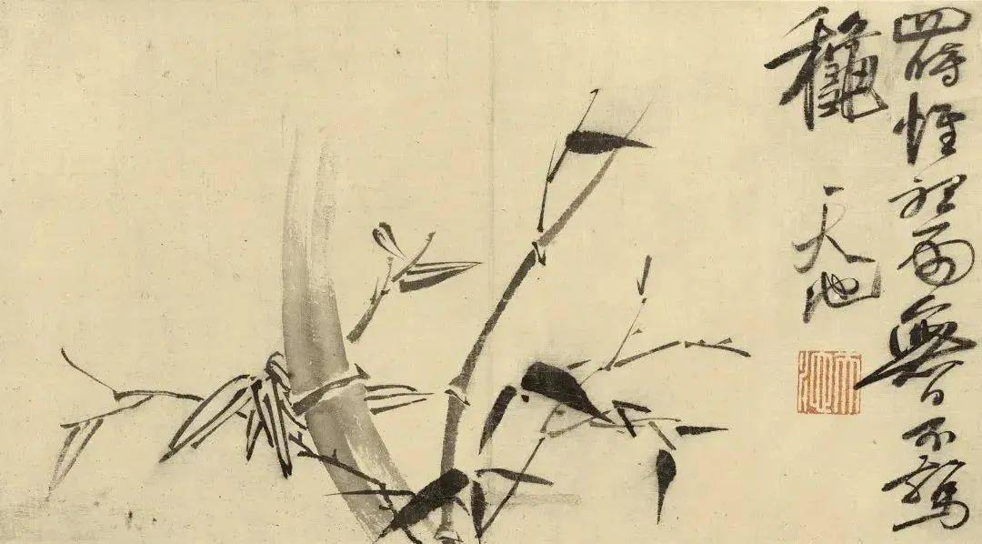 青藤写竹,笔墨狼藉谁能赏?_徐渭_中国_水仙