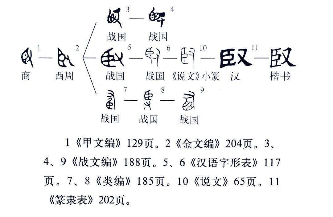 《说文解字》第567课:细说"紧(紧)"字_字形_读音_状态