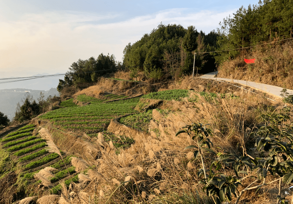 隸屬於四川省南充市閬中市,地處閬中市東北部,東與廣元市蒼溪縣龍山鎮