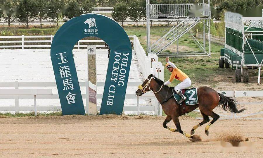 玉龙赛马丨2022玉龙国际赛马公开赛开锣赛