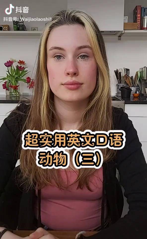 有關動物的單詞你們最喜歡什麼動物呢英語學英語學習不負每一份熱愛