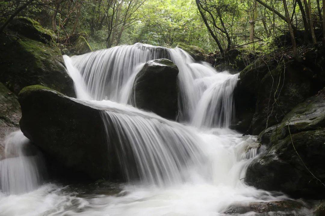 首届秦巴汉水恒口插秧节来啦5月28日邀您赴一场乡村生活之约共享农耕