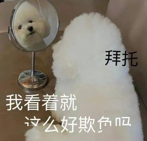 表情包你對象今晚在家嗎