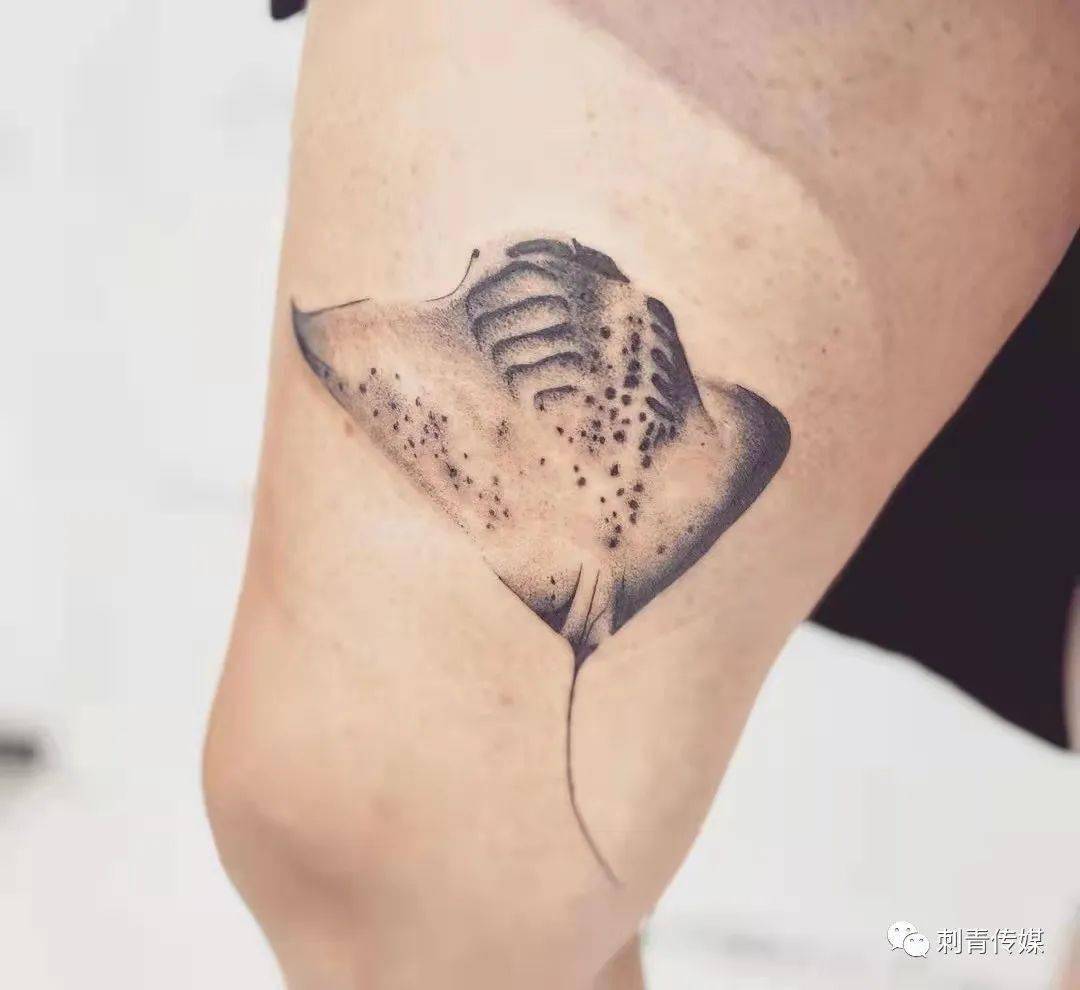 长相怪异的蝠鲼纹身