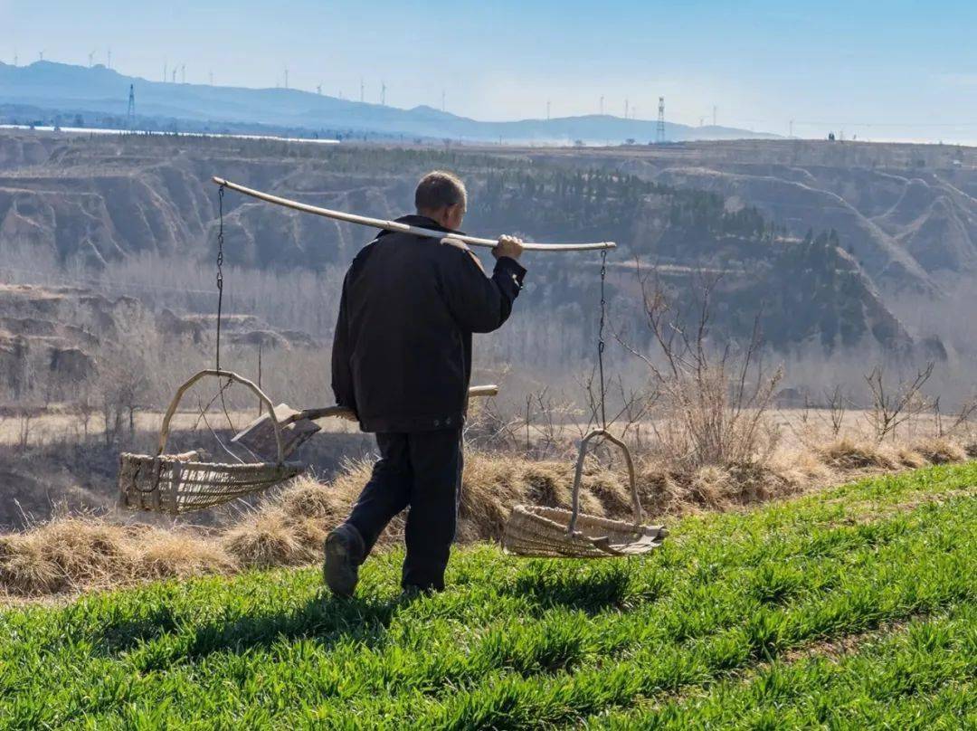 烙满父母劳动印痕的桑木扁担如今再无用处