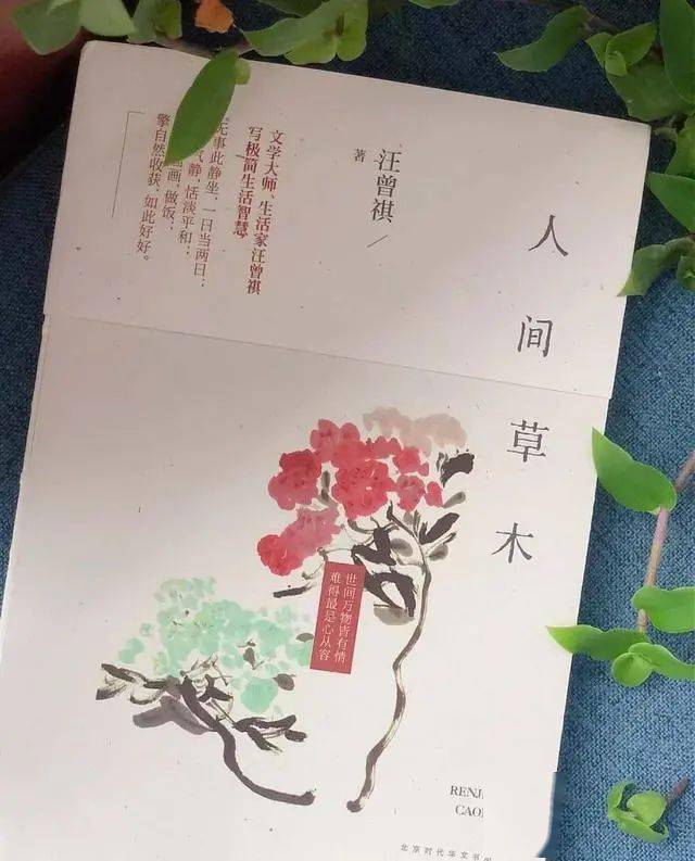 讀書日徵文丨青夢一定要愛著點什麼推薦汪曾祺的人間草木