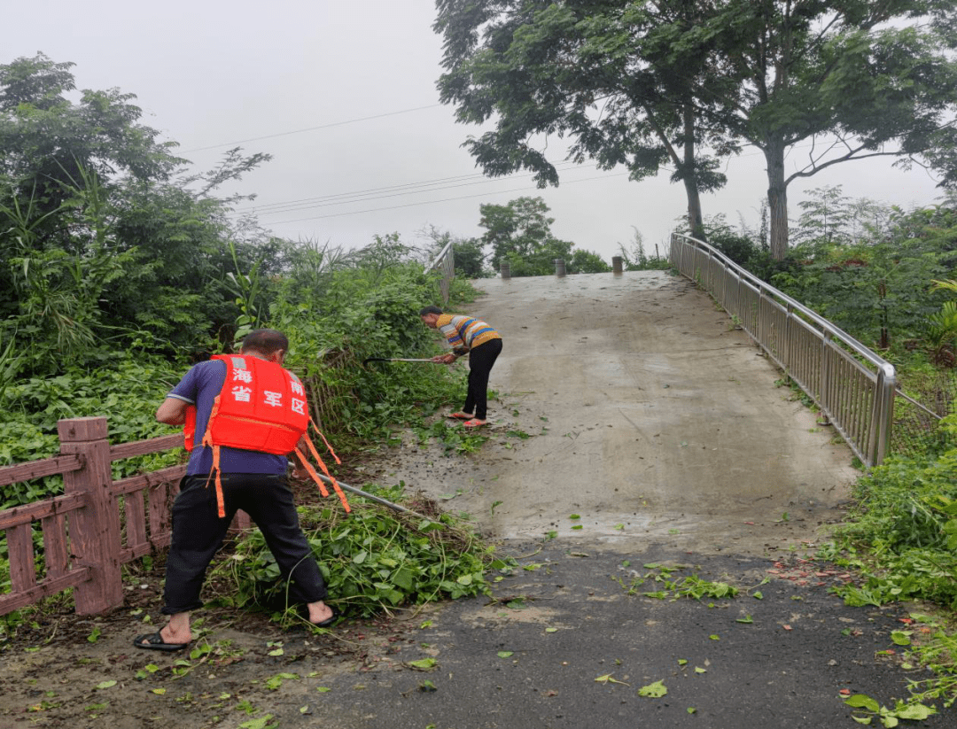 坡心镇水浮莲清理"百日大战"攻坚行动简讯_屯昌县_河道_活动