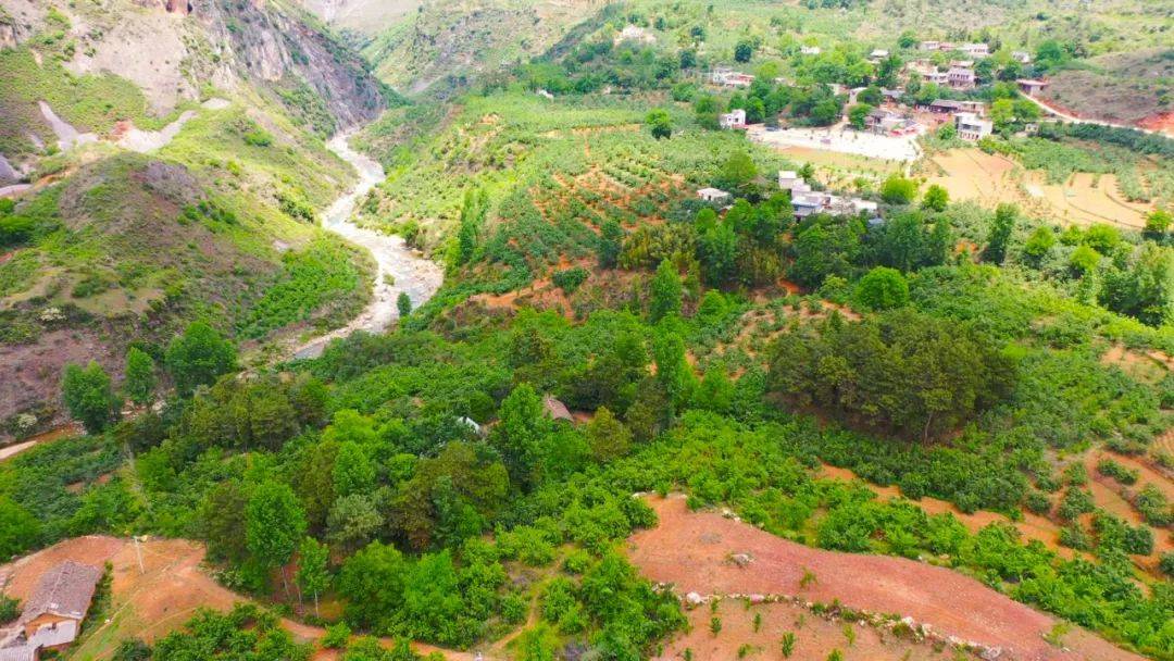 龙街镇龙河村8000亩樱桃红遍山果农增收笑开颜