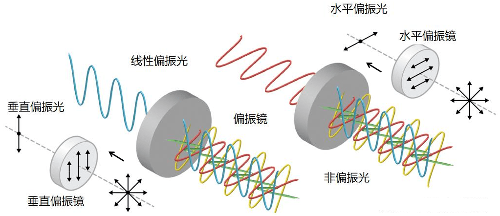 自然光属于完全非偏振光,可看作所有方向上线偏振光的集合,并能转化为