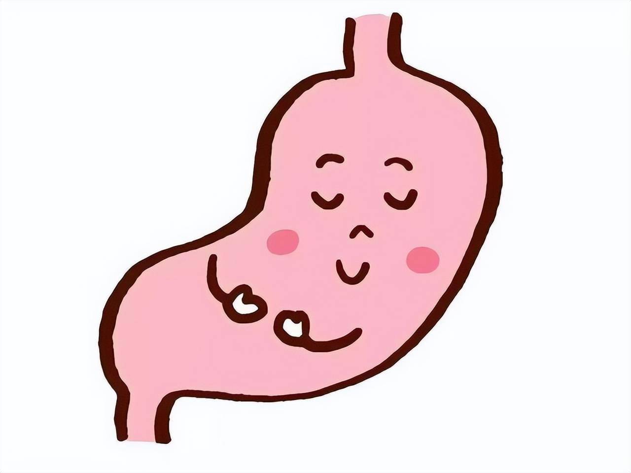 胃不好不建议吃大白菜养护胃部饮食中还要注意什么建议了解