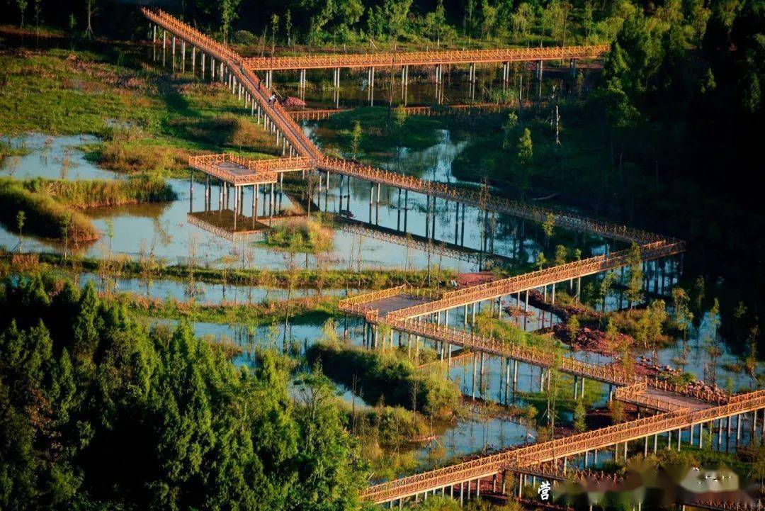 营山朗池湿地公园图片