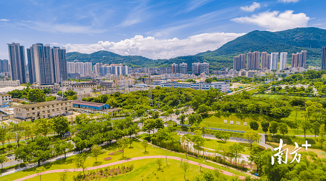 葵涌:抓好"一核两翼"大鹏湾红色旅游带"建设,形成东西两翼协同发展