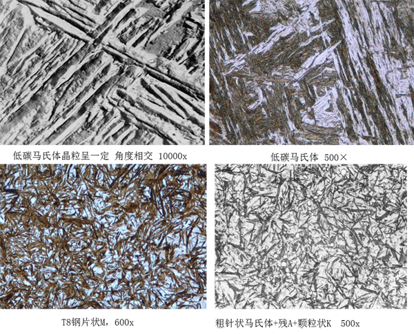 马氏体奥氏体珠光体20种材料彩色金相带你轻松识别