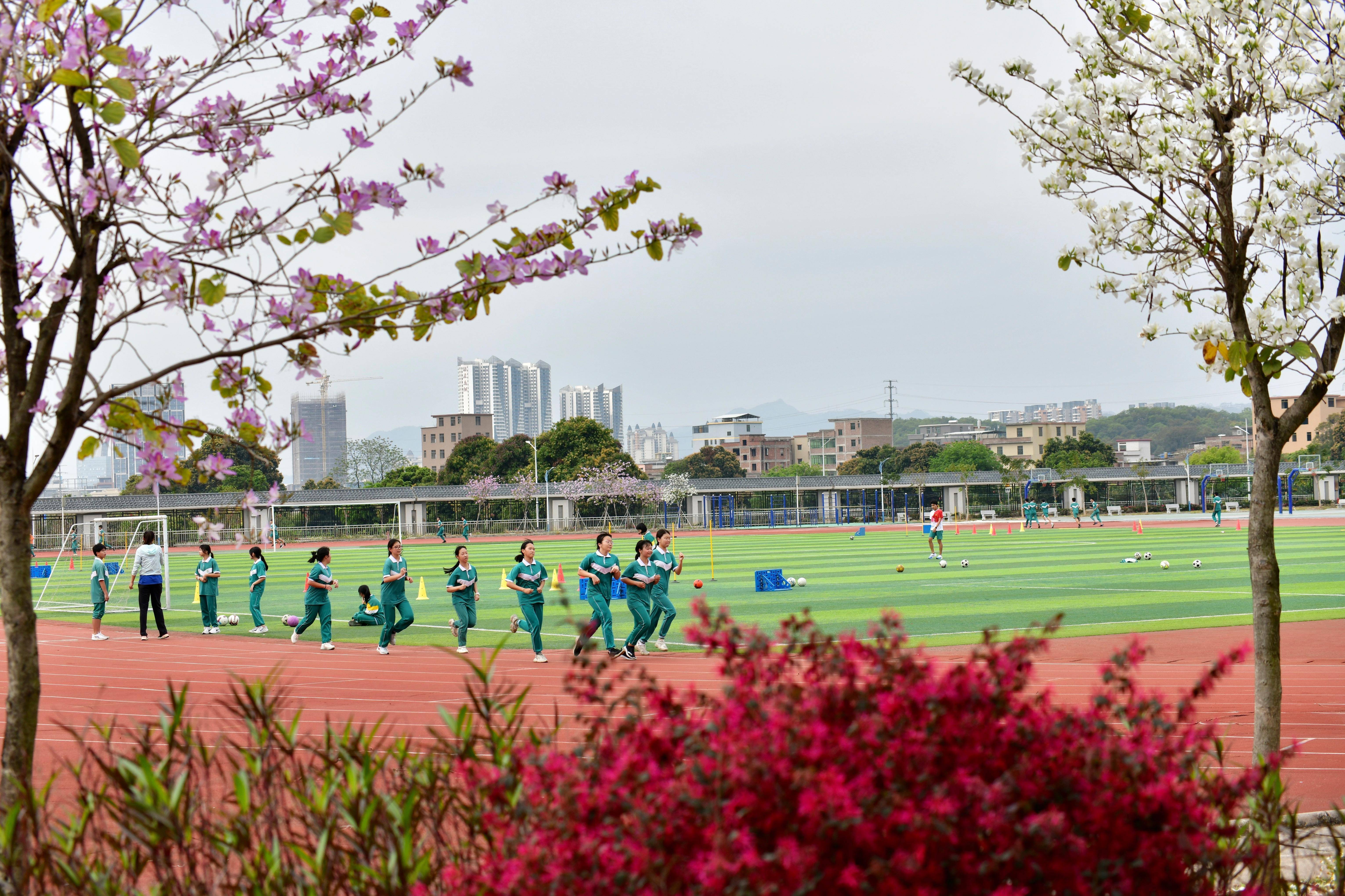 秀全系列有小学啦今年9月开学对话秀全中学校长郭飞红