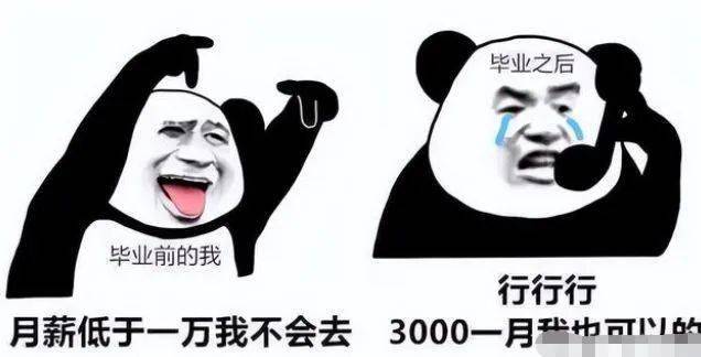 理想vs现实博白后生们过上想要的生活了吗