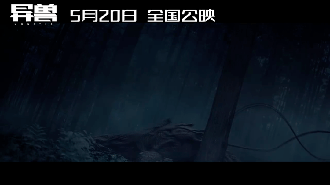 5·20�����գ�������������