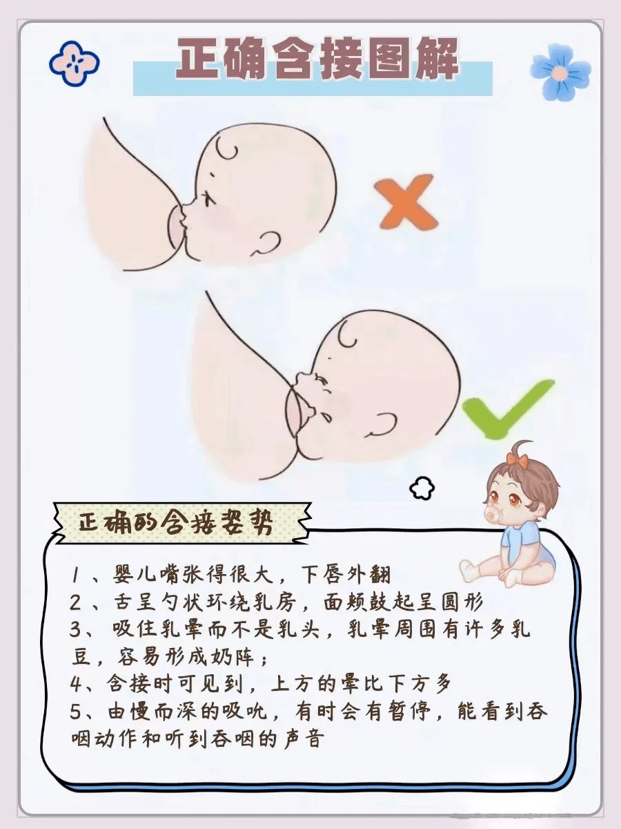 宝宝良好的衔乳姿势