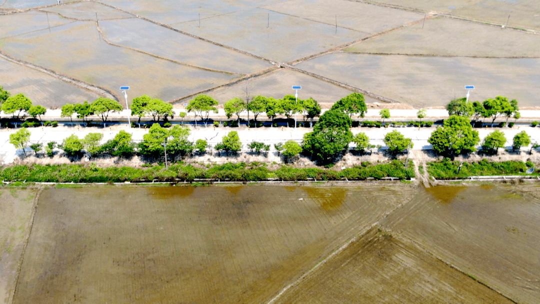 为民履职办实事清新区山塘镇代表履职暖人心点亮群众回家路