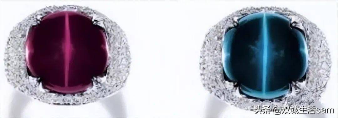 �����ڱ�ʯ���ϵ���Щ�����¡�